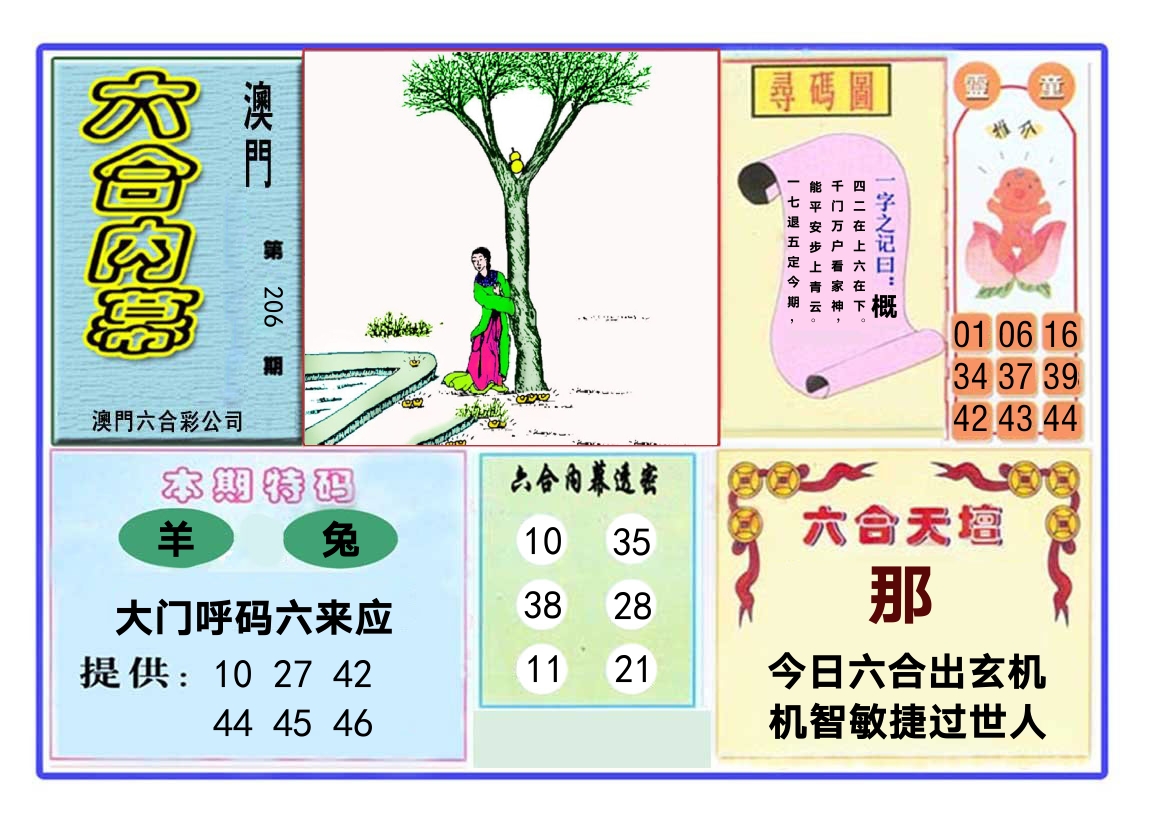 六合内幕 第206期