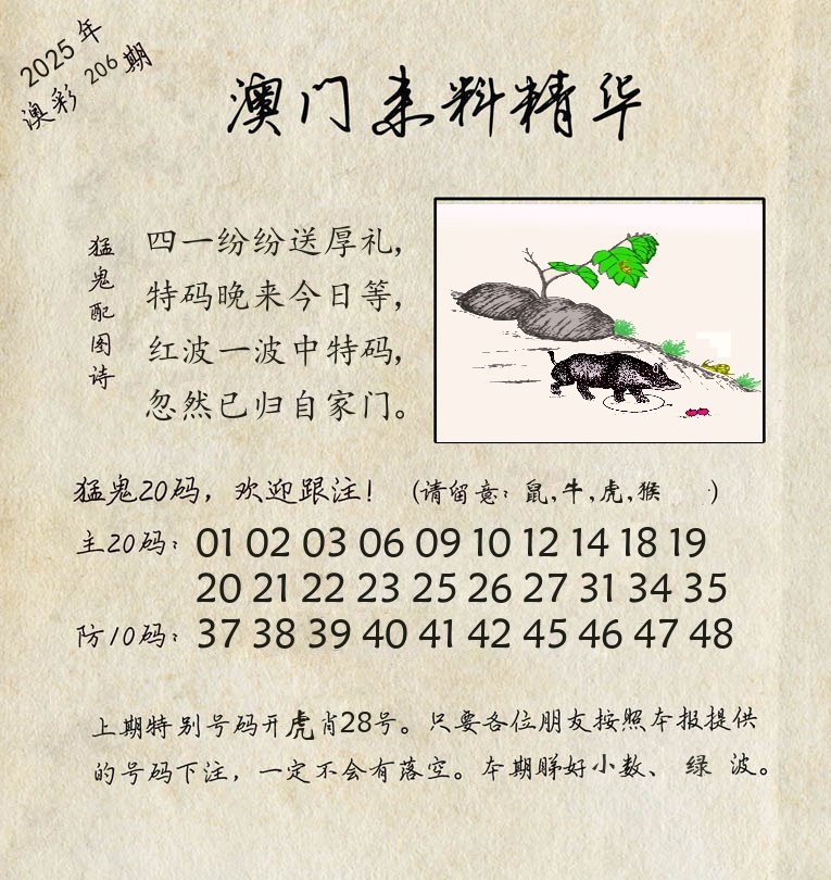 精华来料 第206期