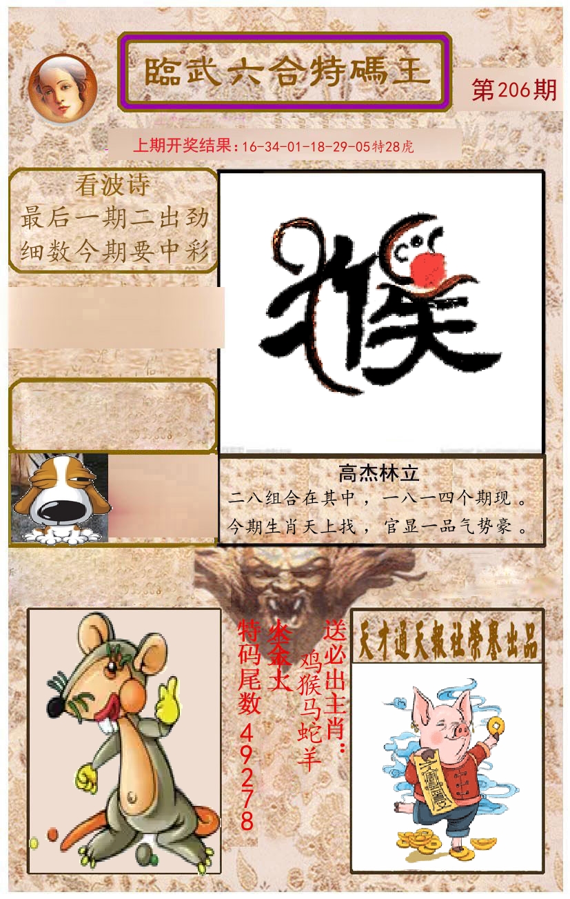 臨武六合特码王 第206期
