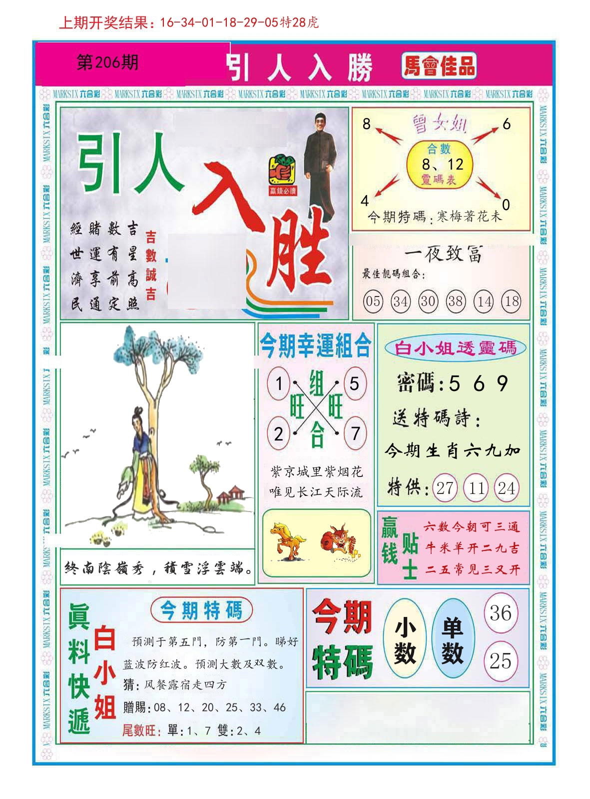 引人入胜 第206期