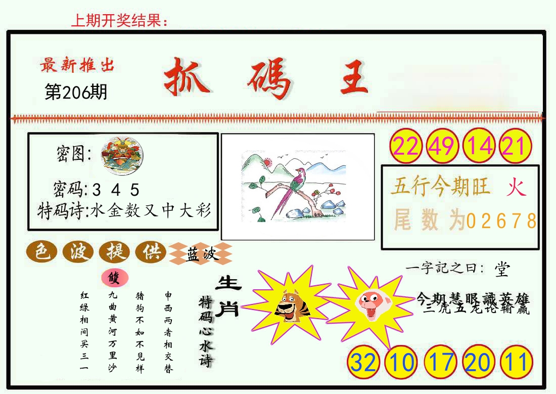最新抓码王 第206期