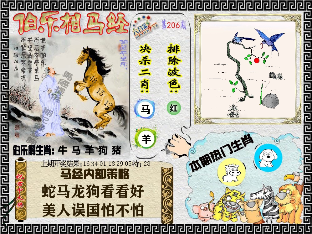 伯乐相马经 第206期