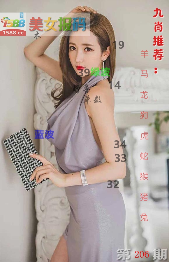 美女报码 第206期