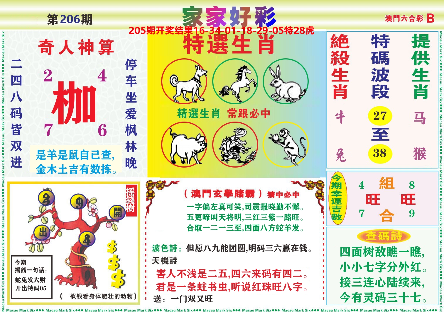 家家好彩B 第206期