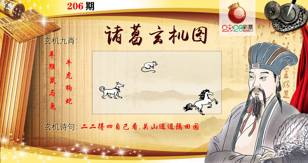 诸葛玄机图 第206期