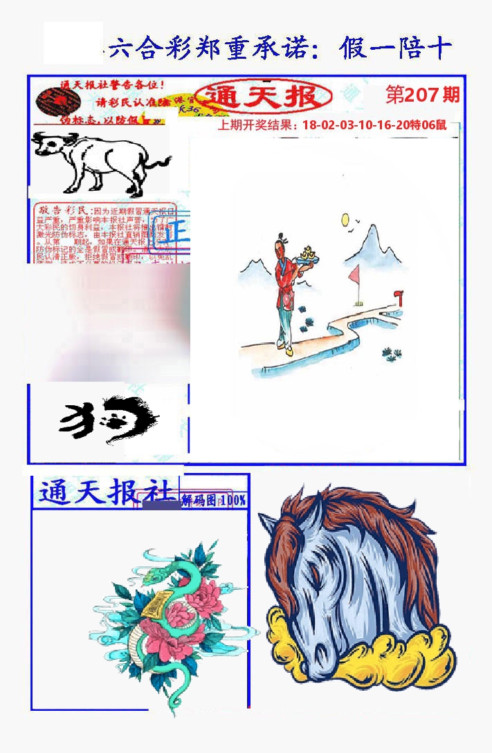 通天报 第207期