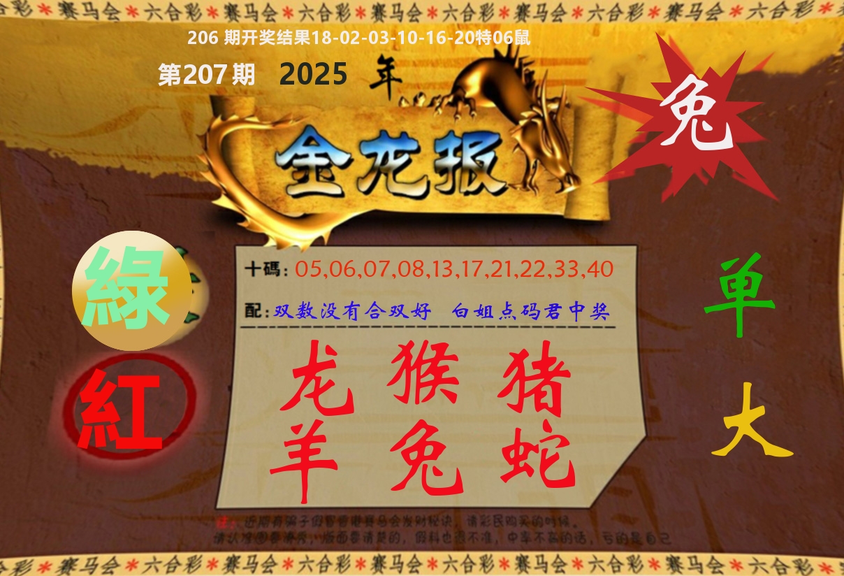 金龙报 第207期
