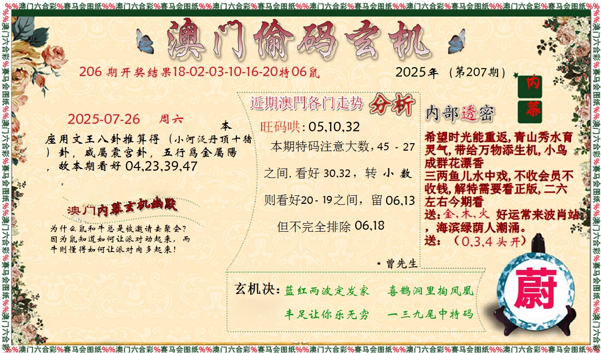 偷码玄机 第207期