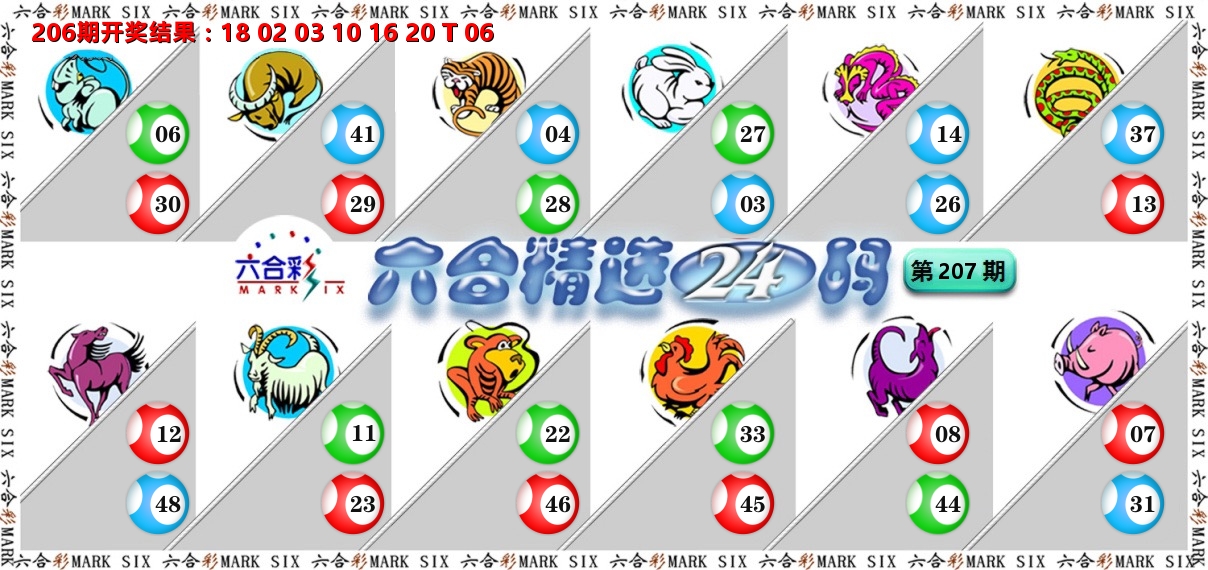 六合精选24码 第207期