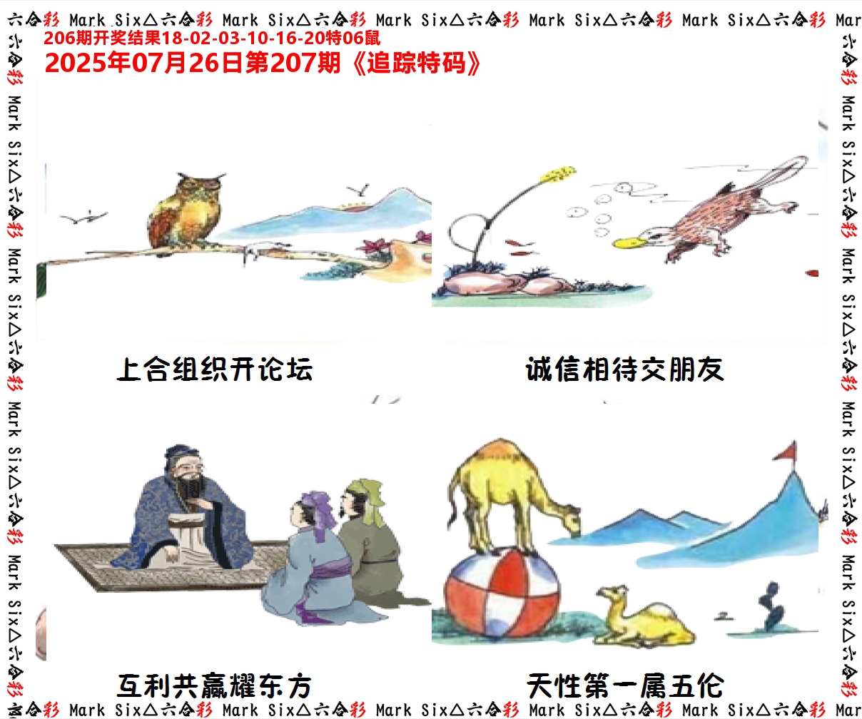 追踪特码 第207期