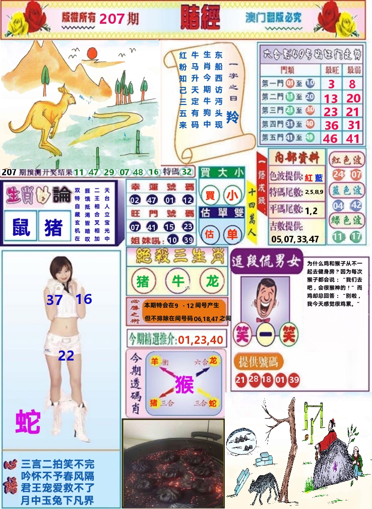 澳门赌经 第207期