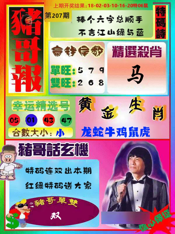 猪哥报 第207期