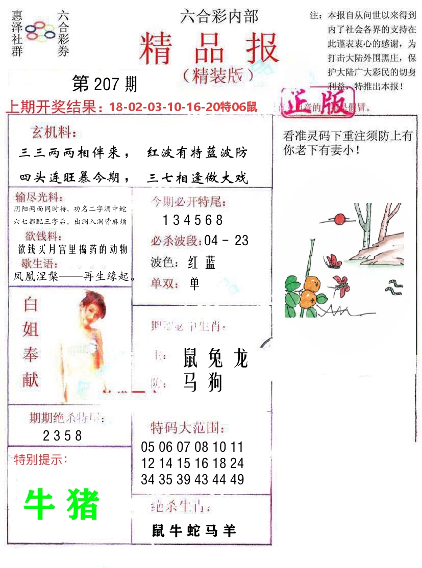 精品报 第207期