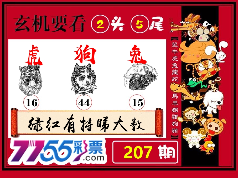 玄机要看 第207期