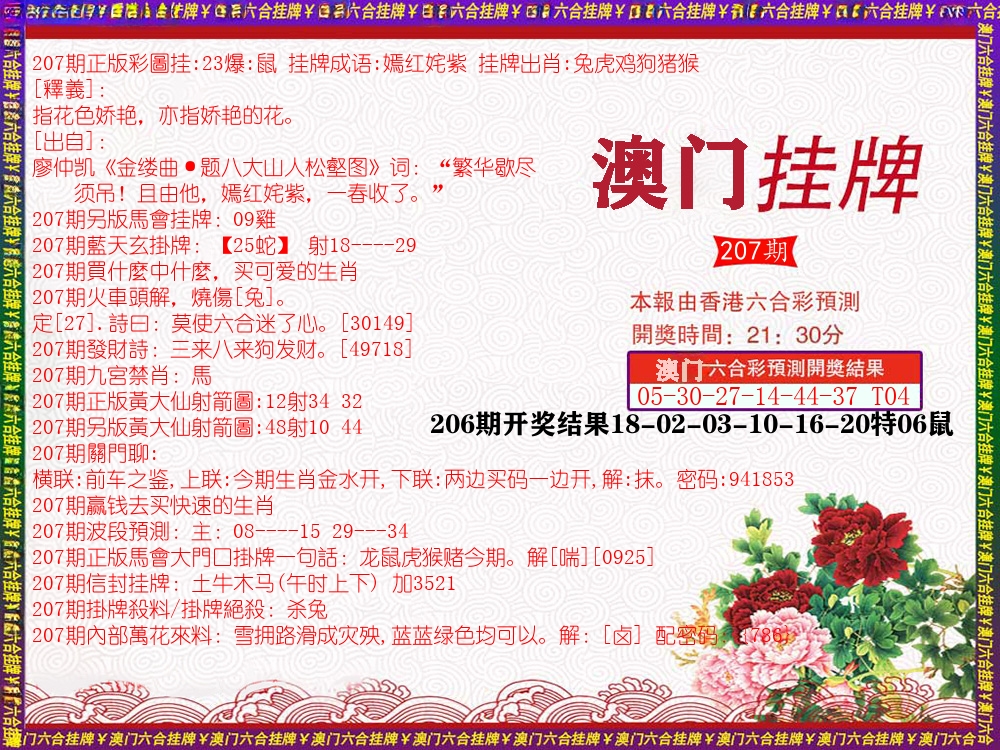 澳门挂牌 第207期