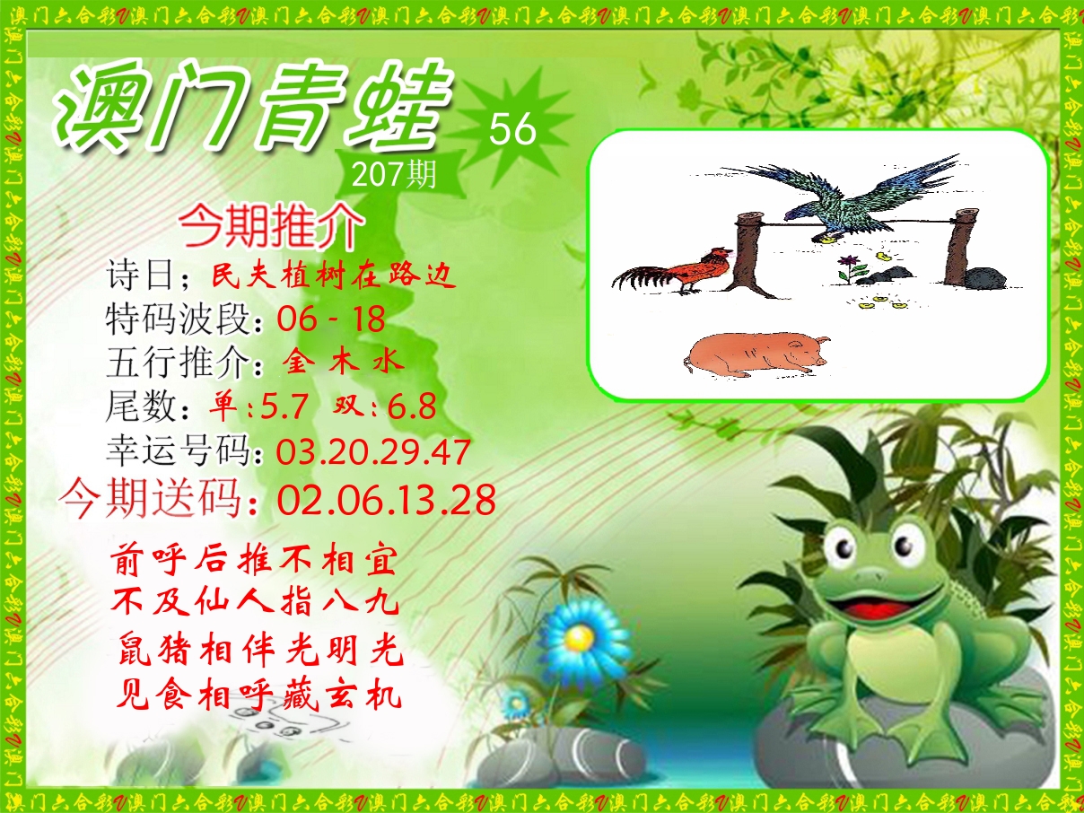 青蛙系列56 第207期