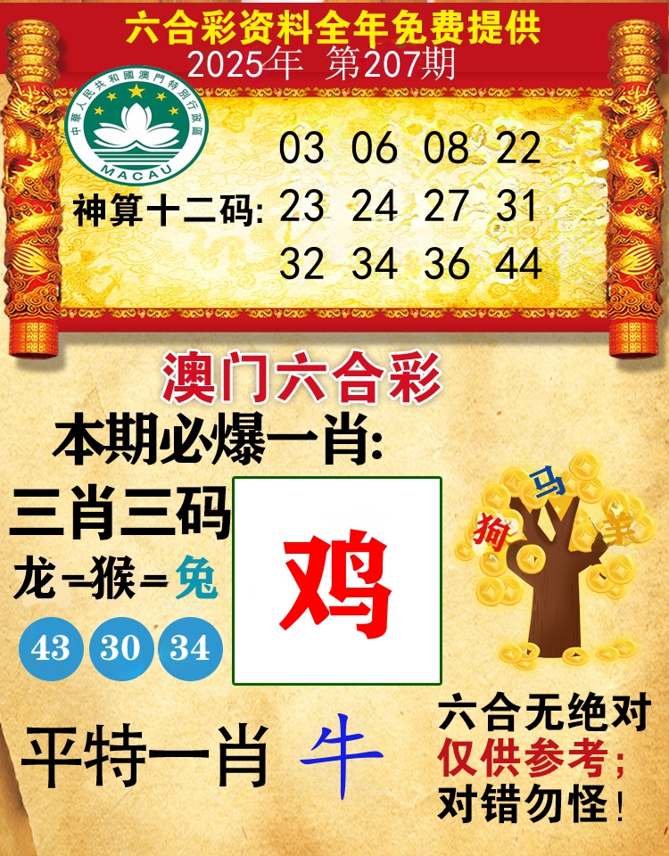 澳门必爆 第207期