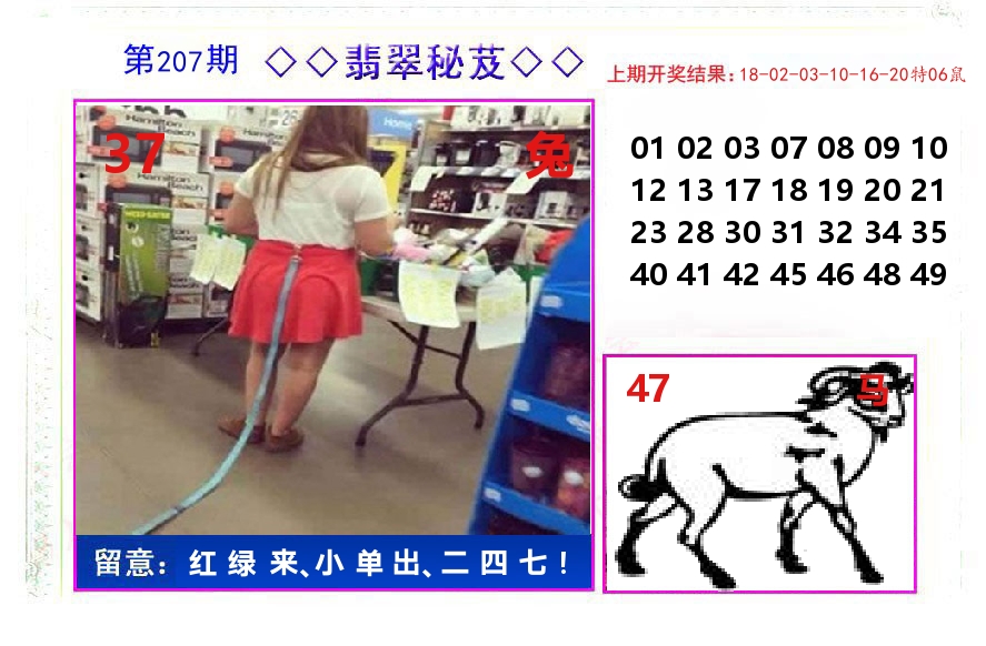 翡翠秘芨 第207期