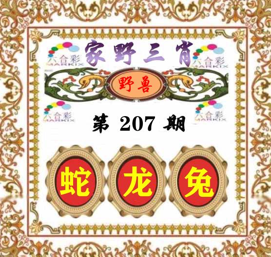 家野三肖 第207期