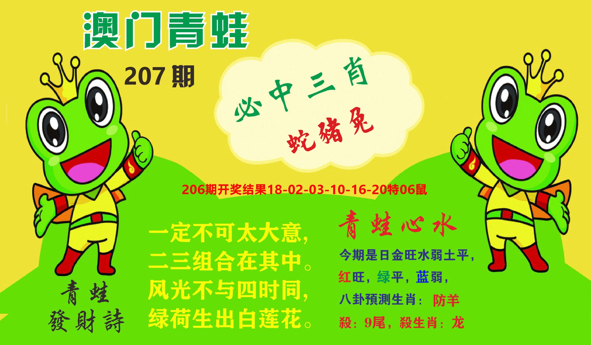 澳门致富经A 第207期