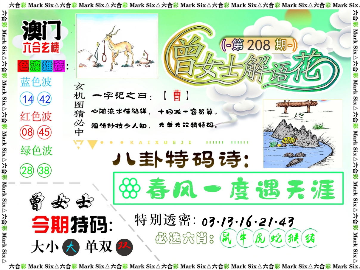 曾女士解语花 第208期