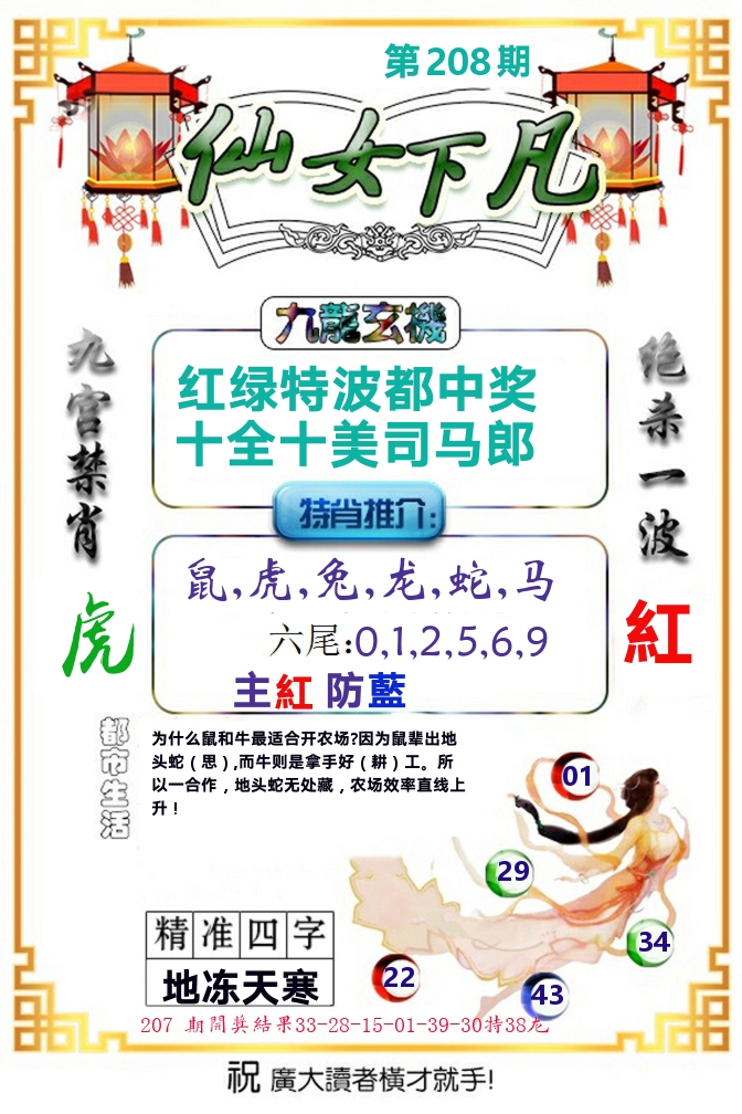 仙女下凡 第208期