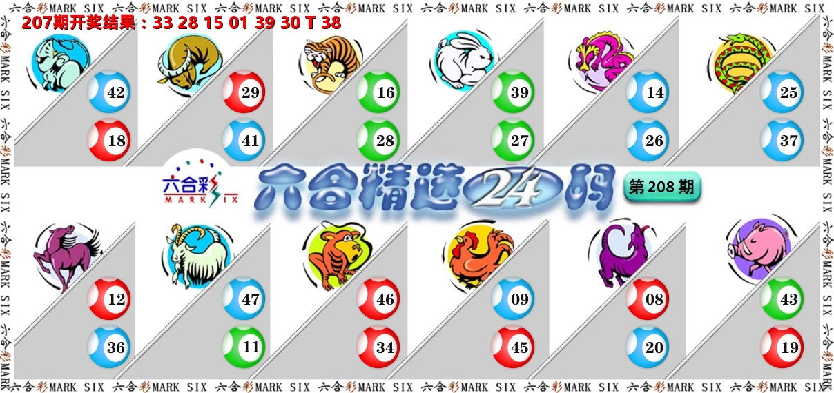 六合精选24码 第208期