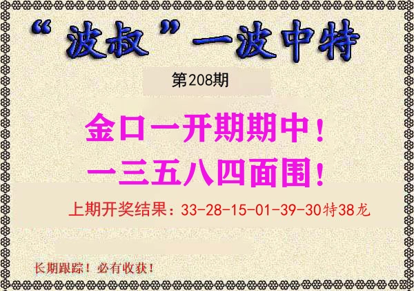 波叔中特 第208期