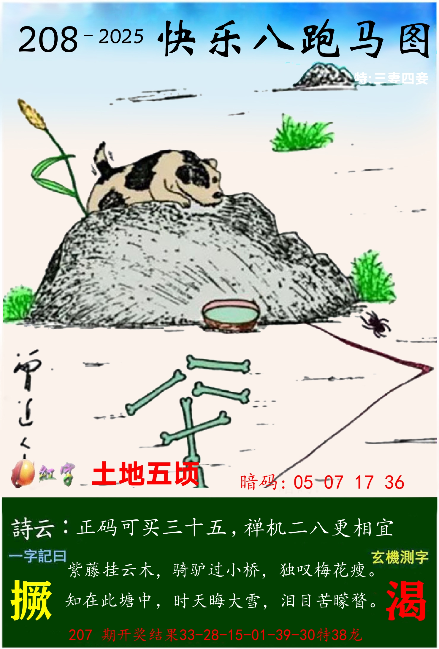 澳门跑马 第208期