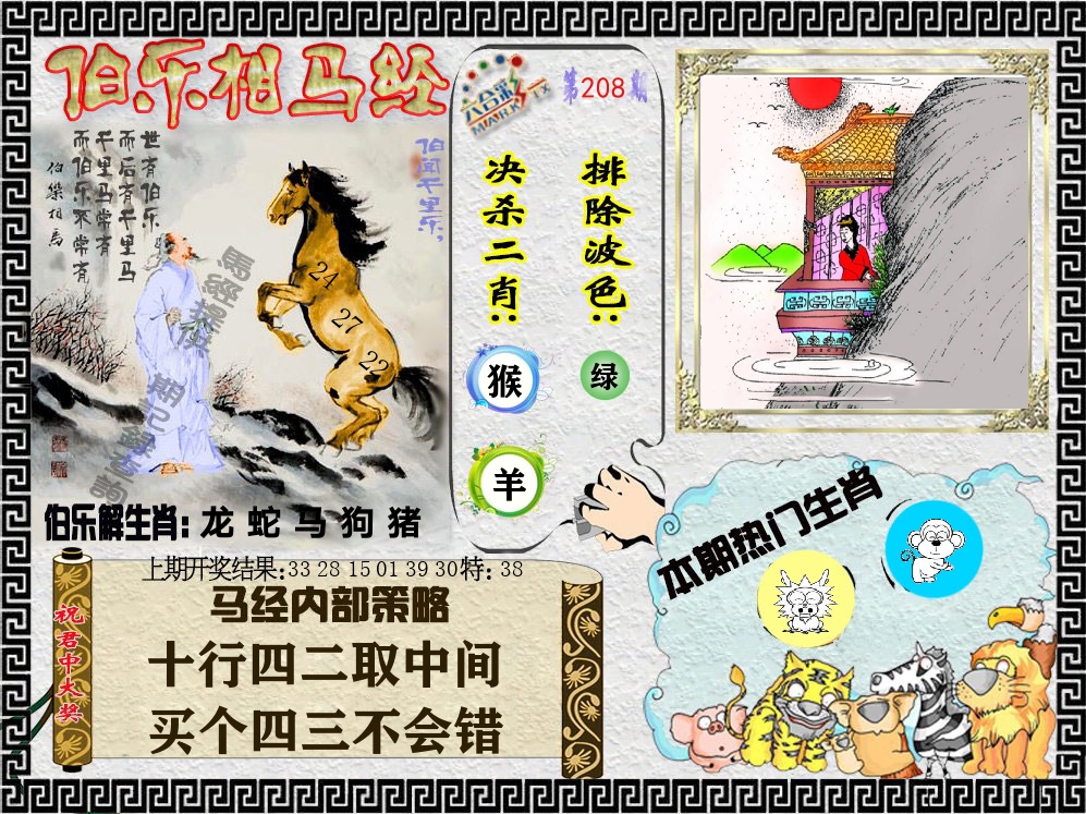 伯乐相马经 第208期