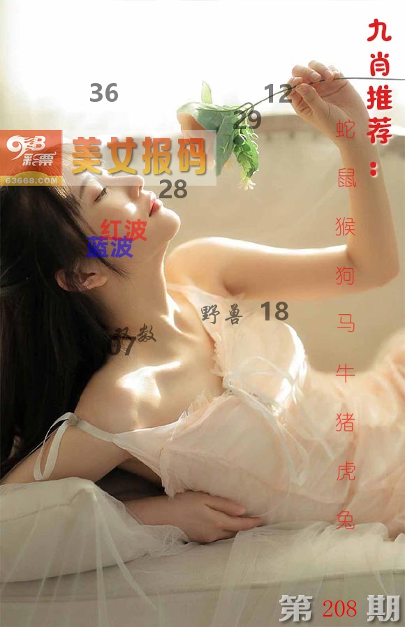 美女报码 第208期