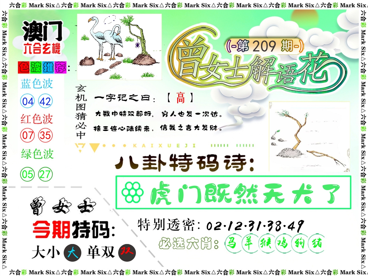 曾女士解语花 第209期