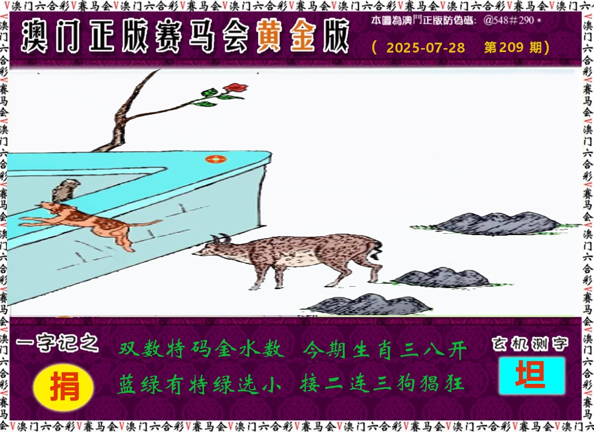 赛马会黄金版 第209期