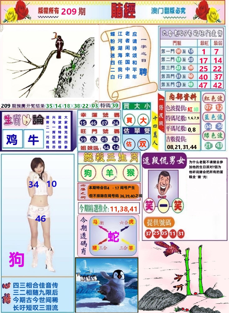 澳门赌经 第209期