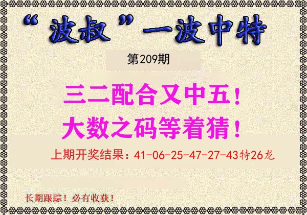 波叔中特 第209期