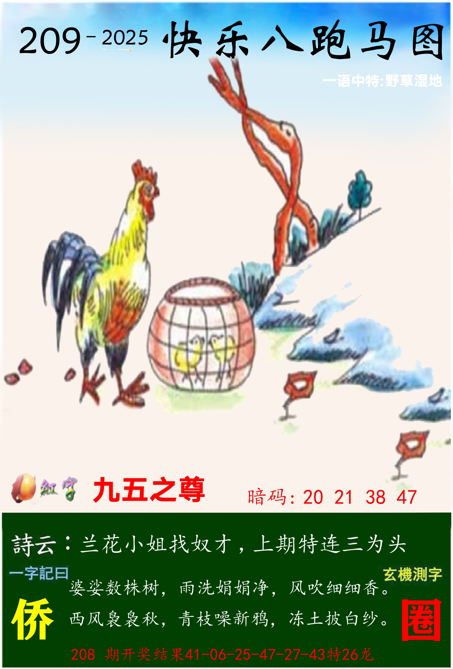 澳门跑马 第209期