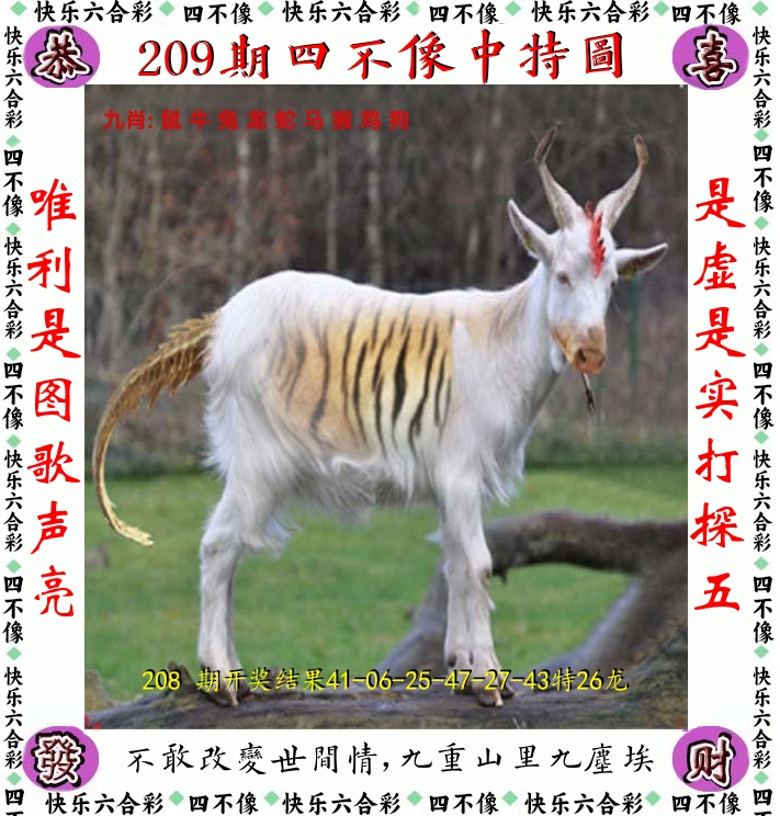 四不像 第209期