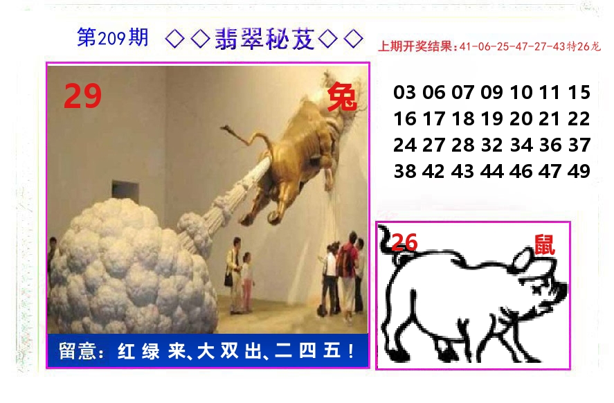 翡翠秘芨 第209期