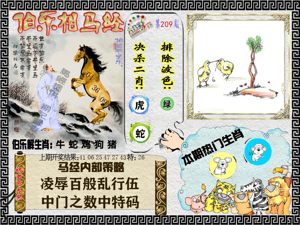 伯乐相马经 第209期