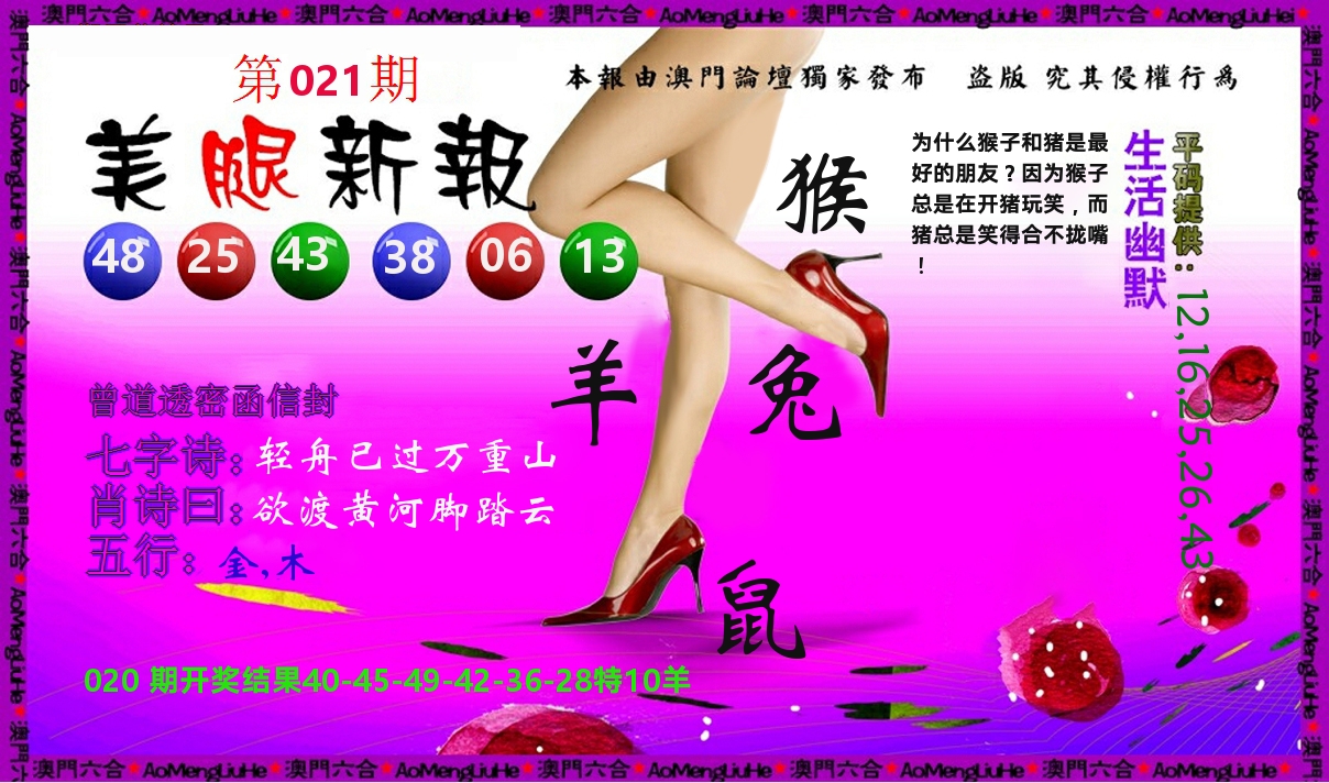 美腿新报 第21期