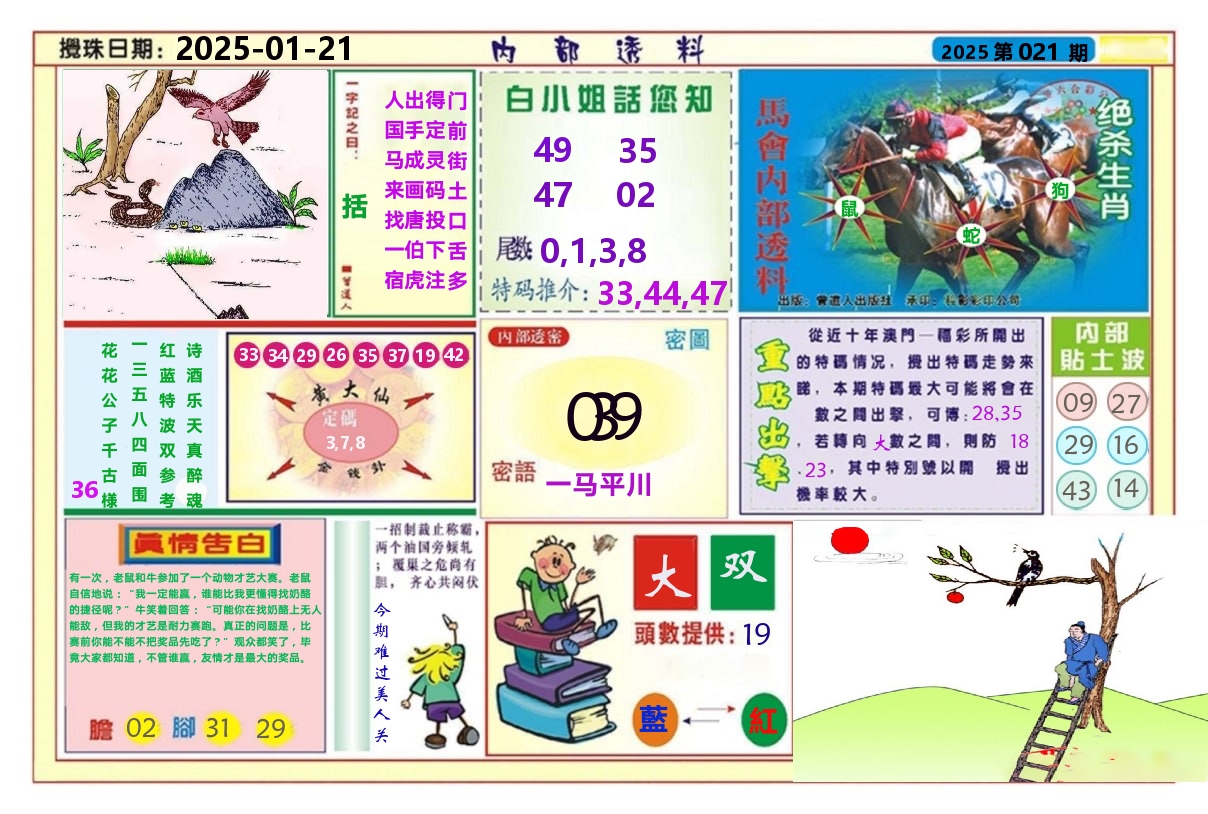 澳门内部透料A 第21期