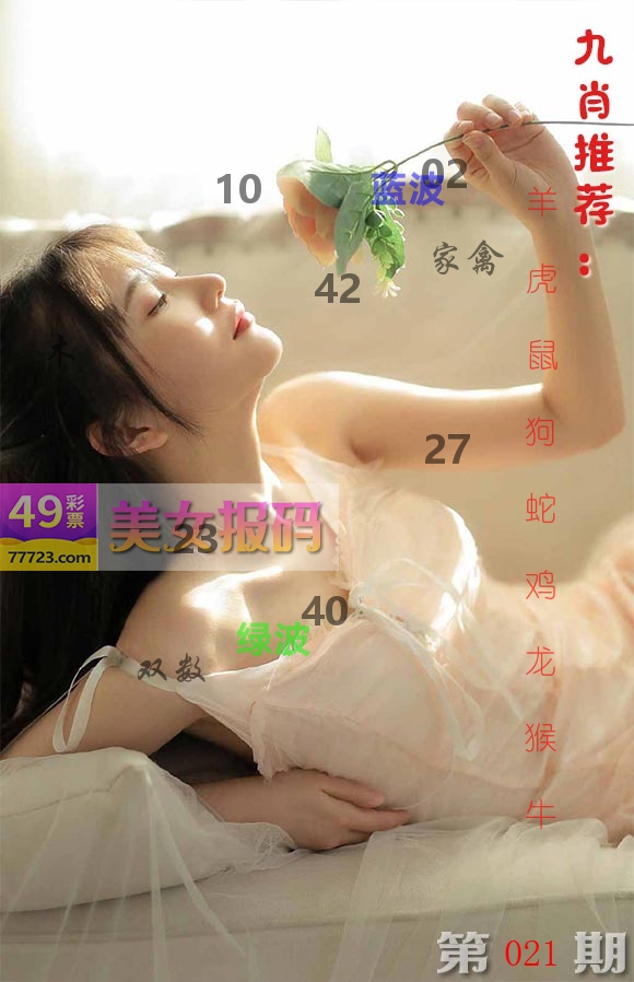 美女报码 第21期