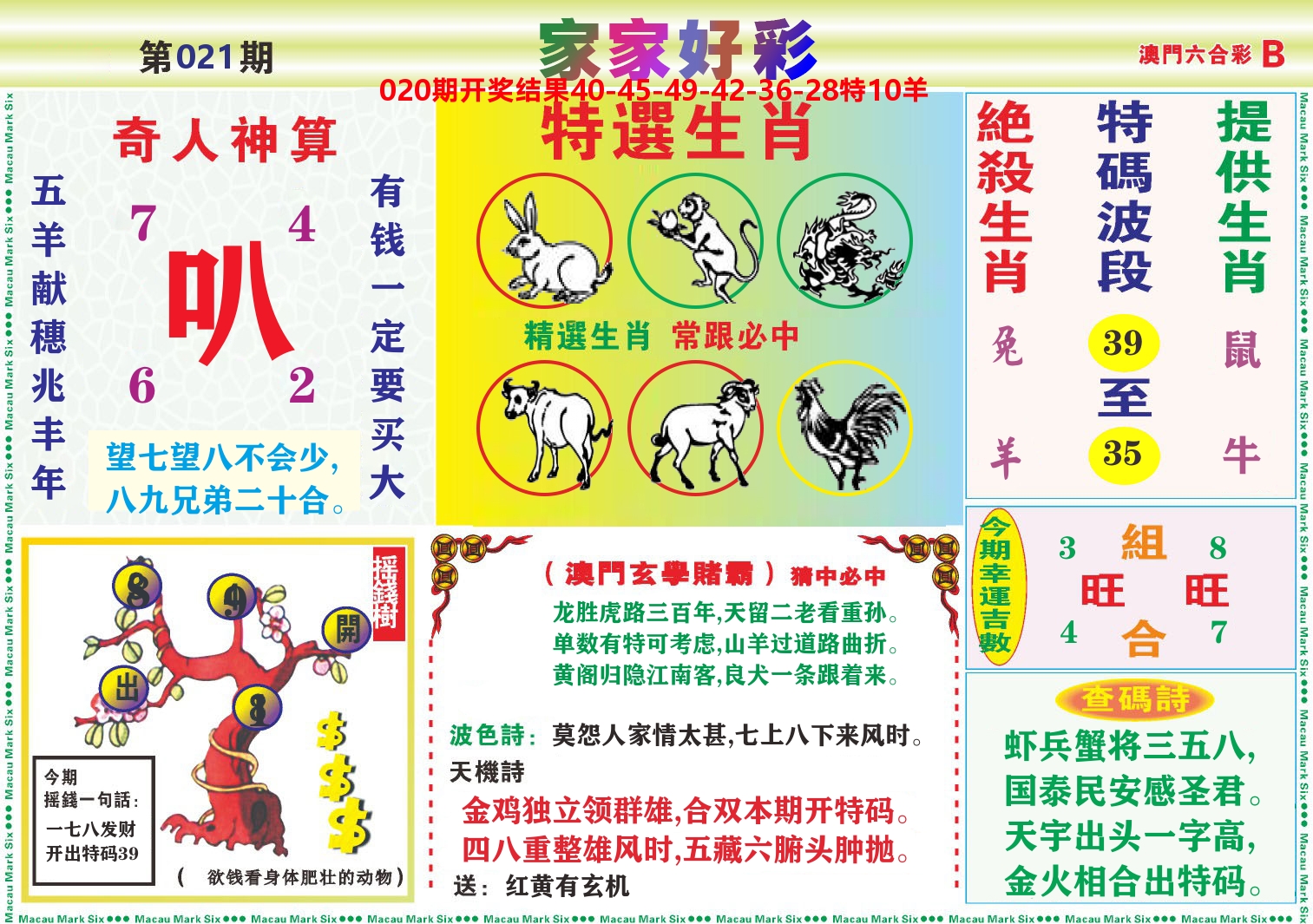 家家好彩B 第21期
