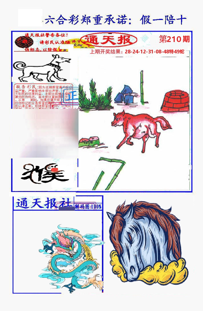 通天报 第210期