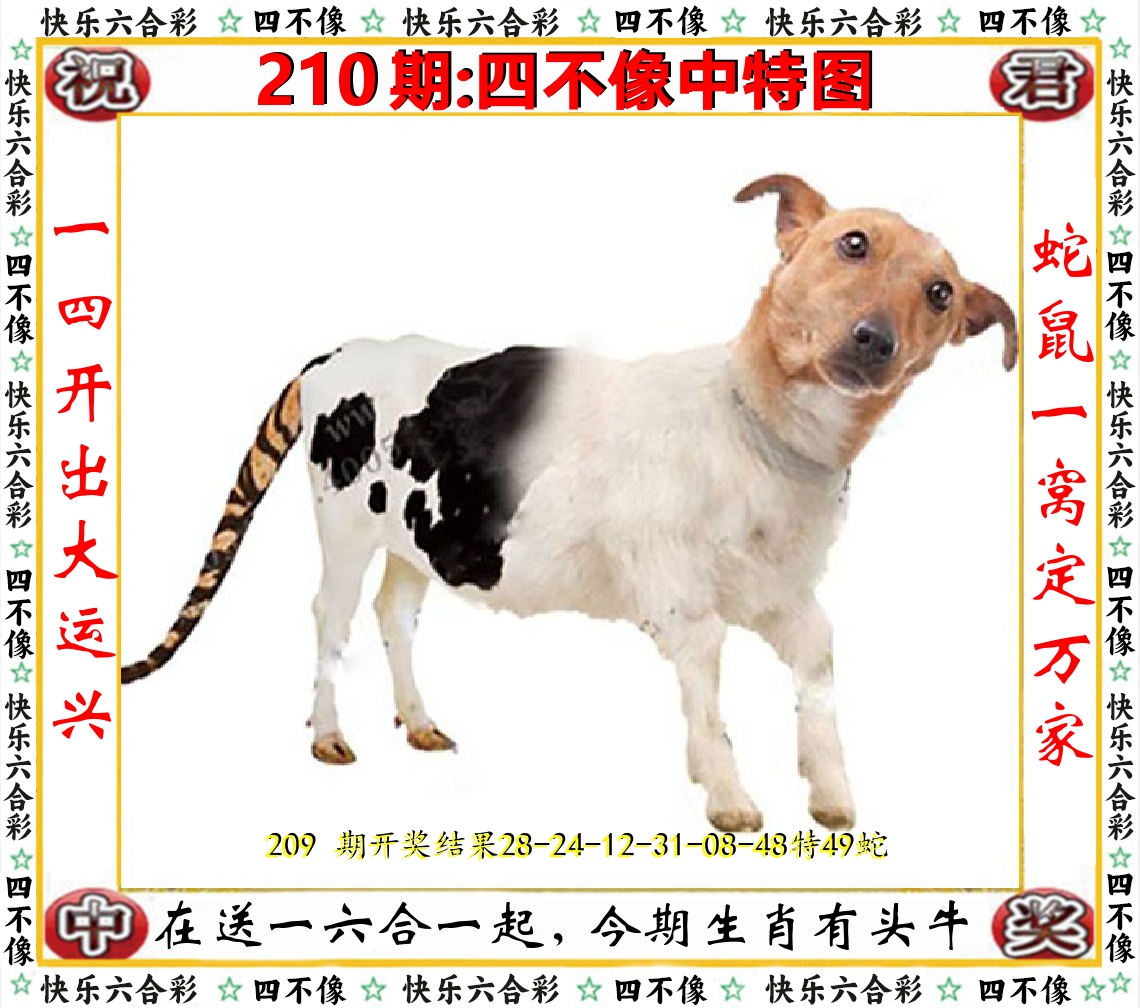 四不像中特图 第210期