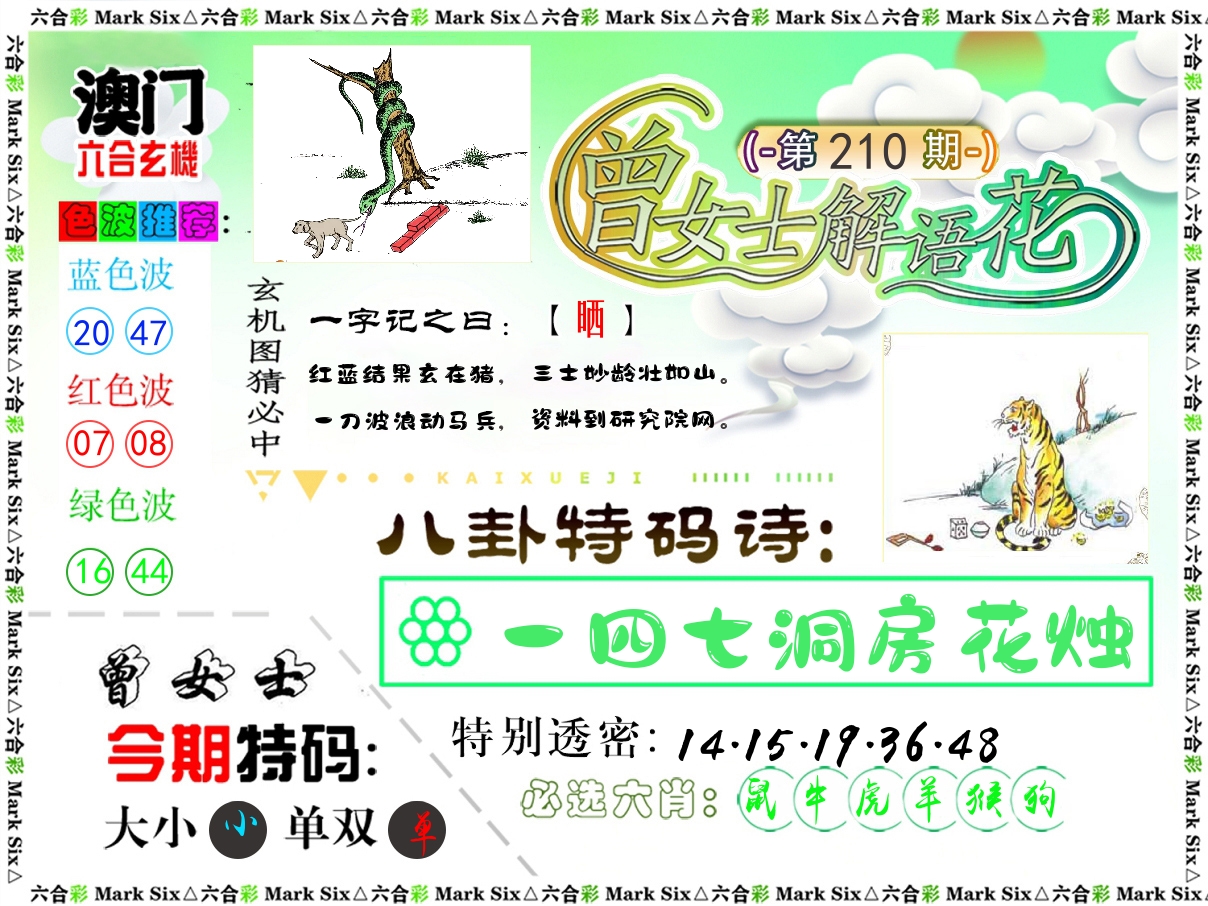 曾女士解语花 第210期