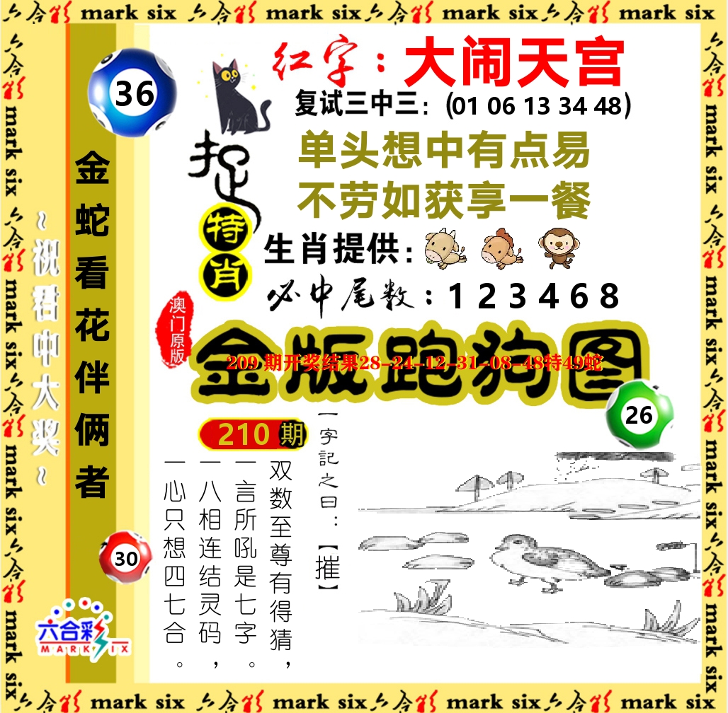 金版跑狗图 第210期