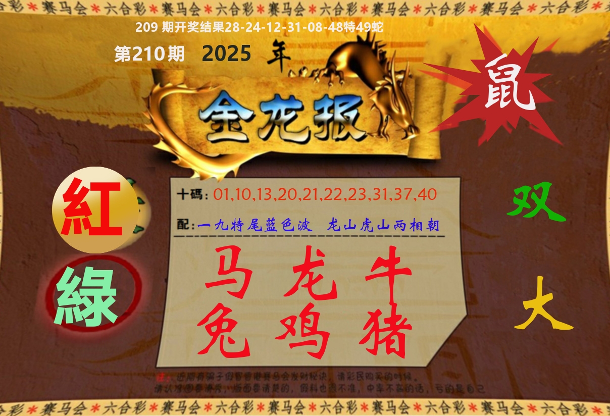 金龙报 第210期