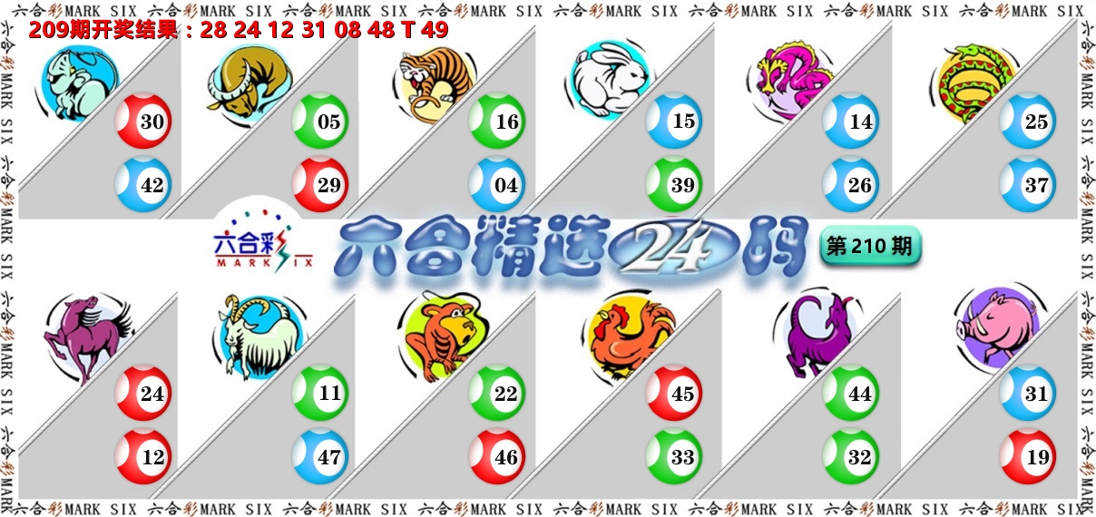 六合精选24码 第210期