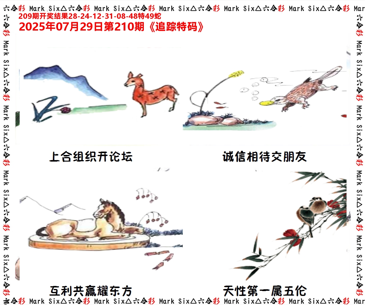 追踪特码 第210期